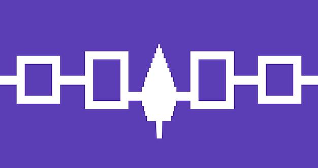 What was the purpose of the Iroquois Confederacy? 