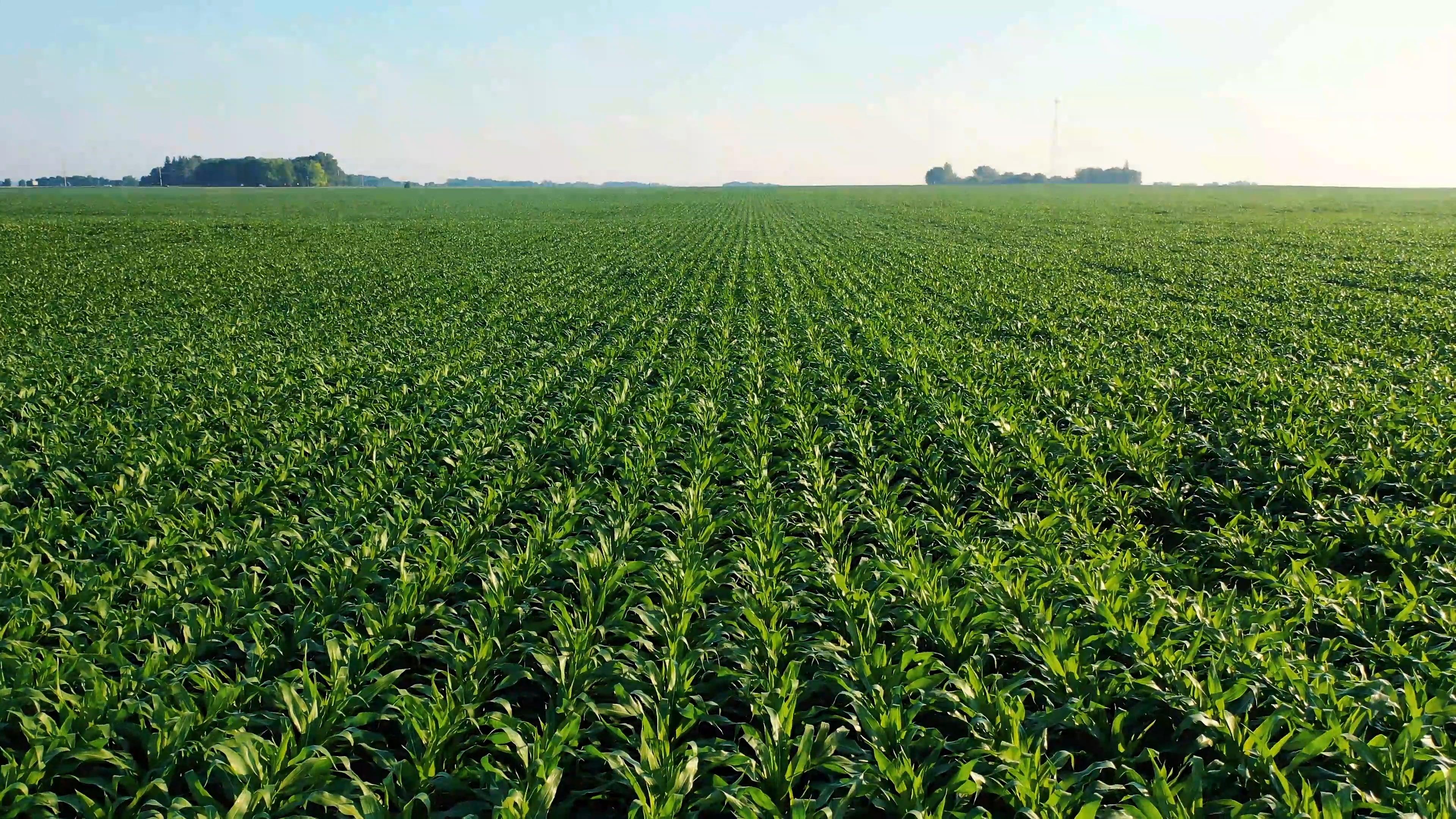 Which is the largest agricultural interest group? 