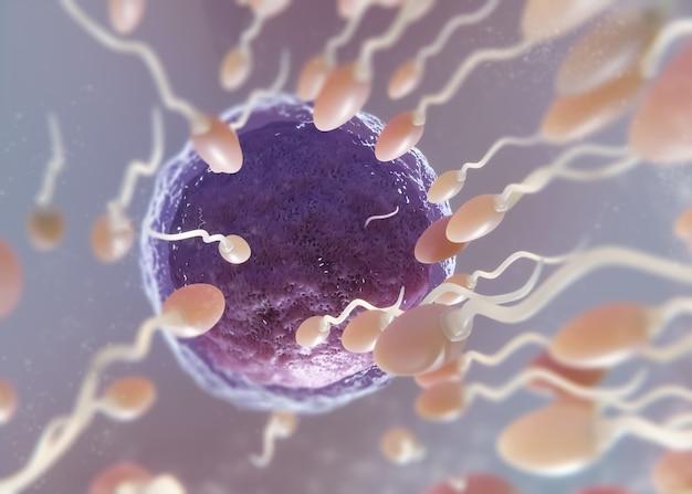 What are the main characteristics of epithelial tissue? 