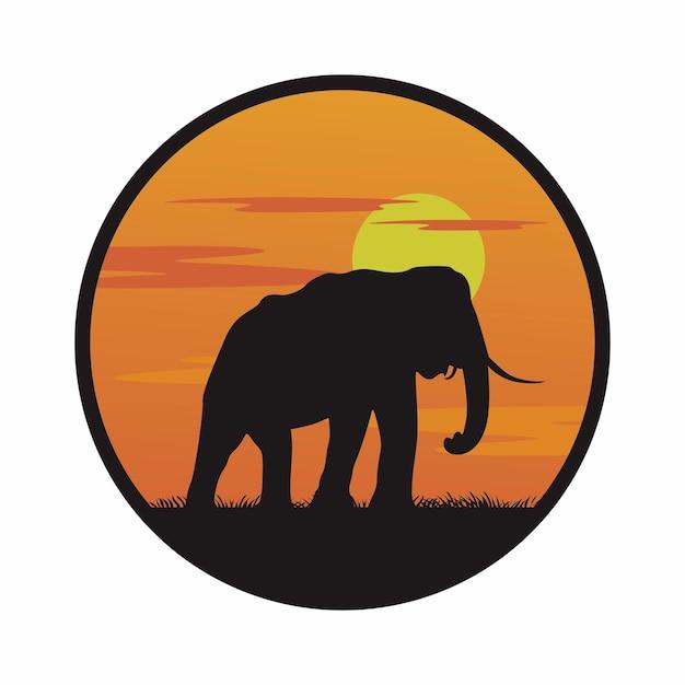 What is the main theme of shooting an elephant? 