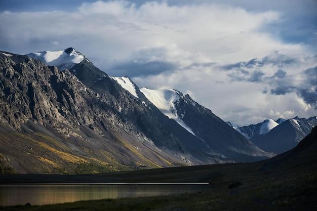 What are some interesting facts about the Alpine biome? 