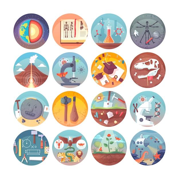 What are the major disciplines of knowledge? 