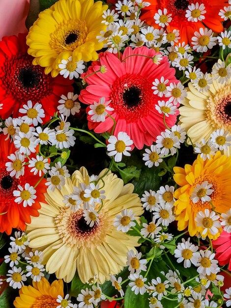 What is the meaning of festive occasion? 