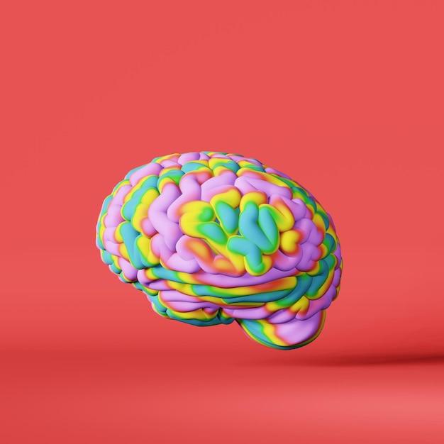 What is the meaning of human behavior? 