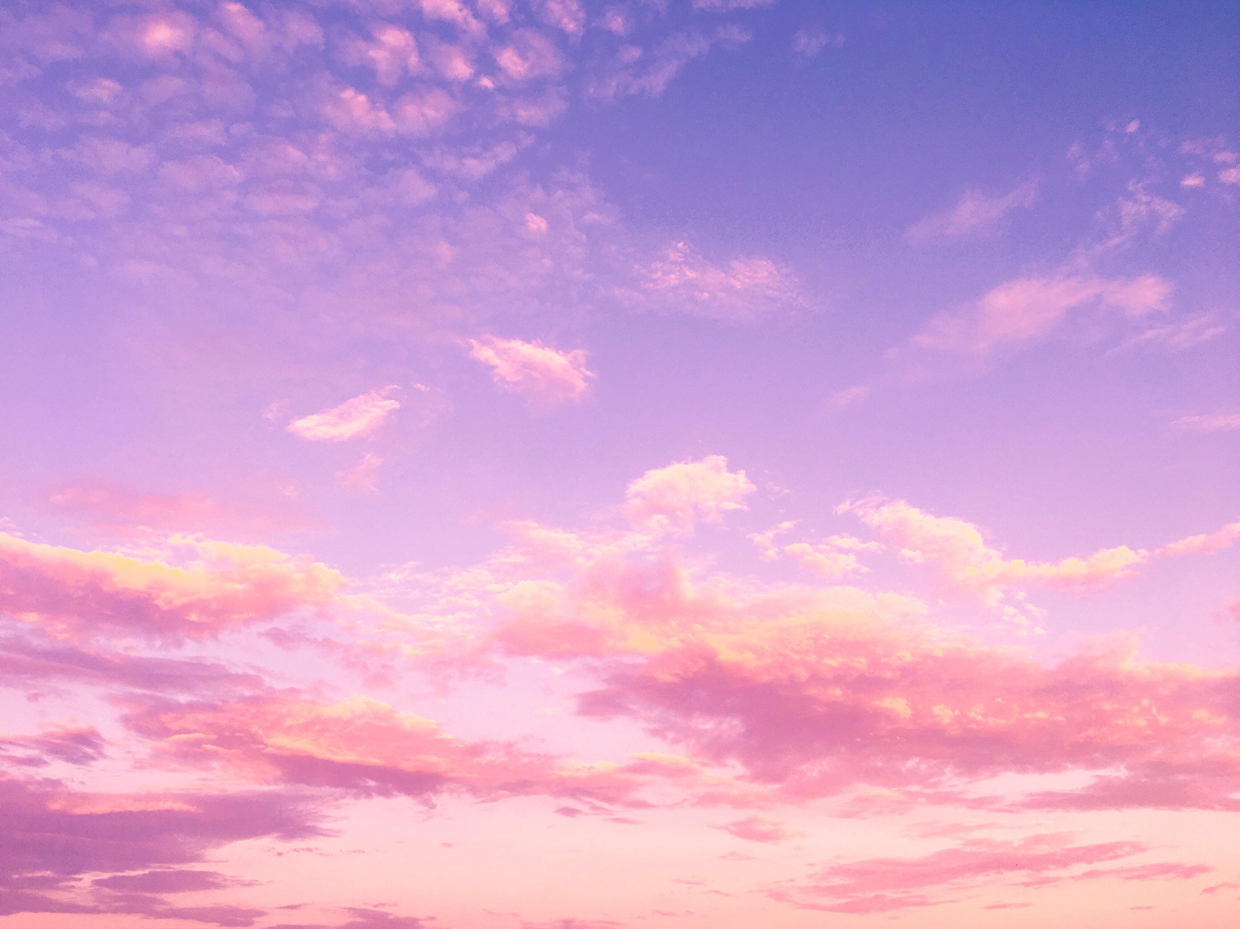 What does pink sky indicate? 