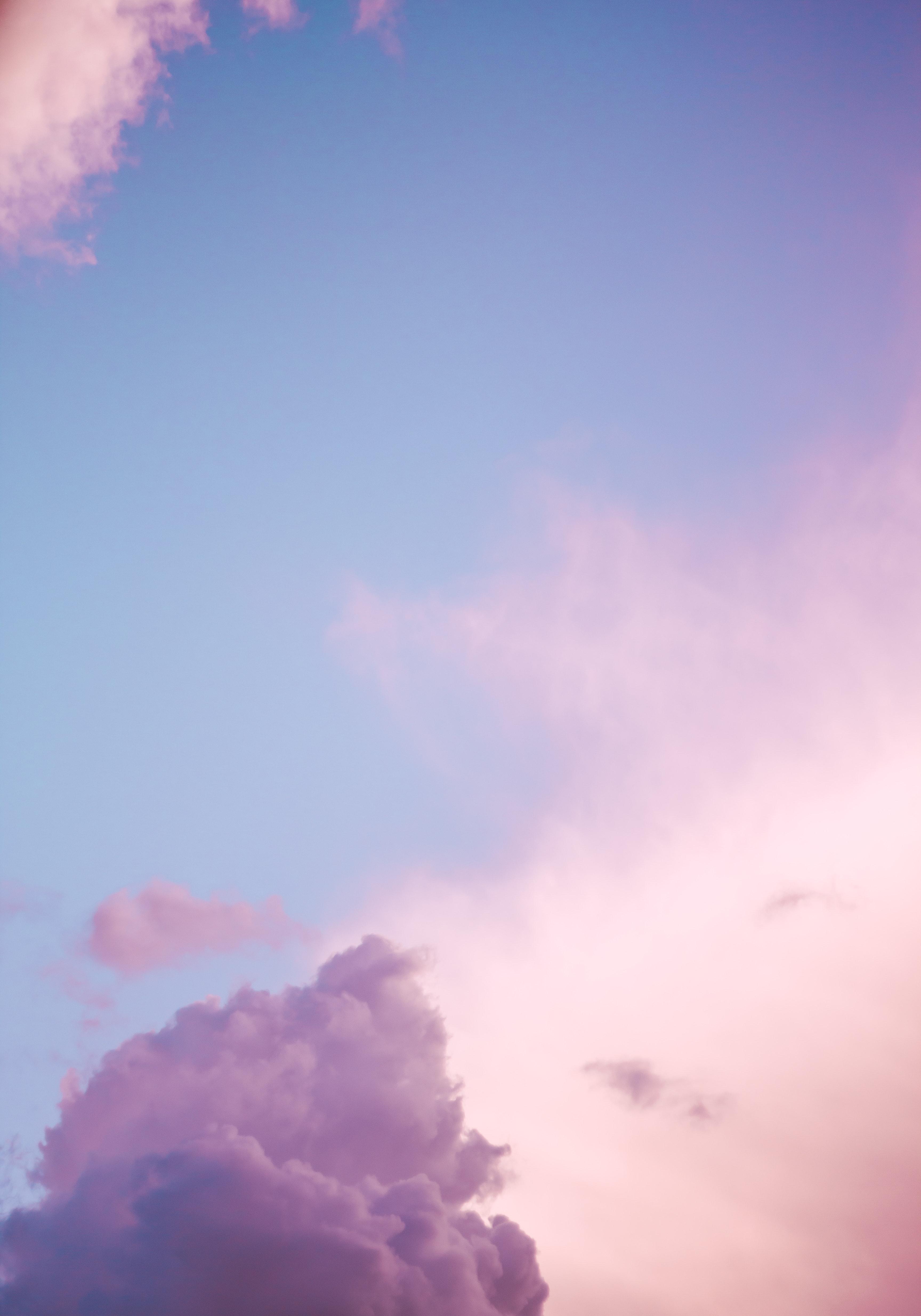 What does pink sky indicate? 