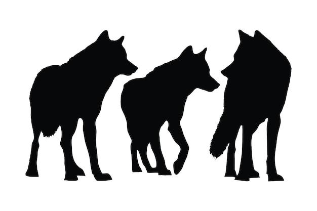What are the positions in a wolf pack? 