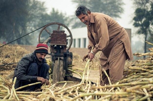 What are positive impacts of agricultural technology? 