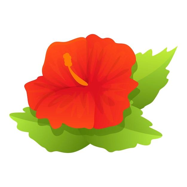 What are the reproductive parts of Gumamela flower? 
