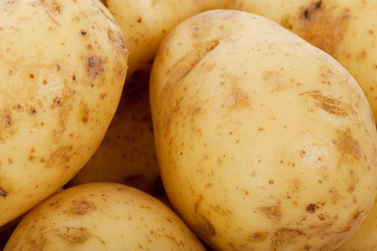 What food group does starch belong to? 