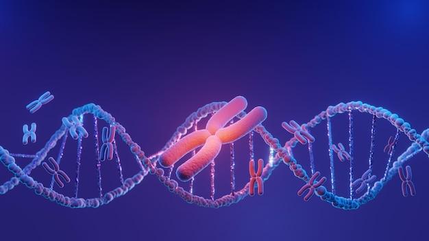 What are the similarities between DNA replication and transcription? 
