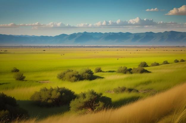 What is the topography in grasslands? 