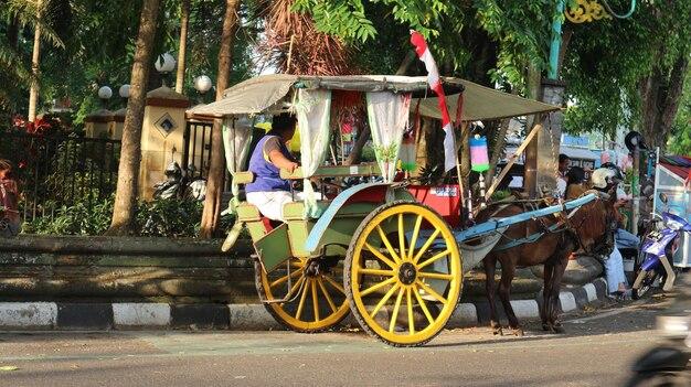 What is the vehicle of culture? 