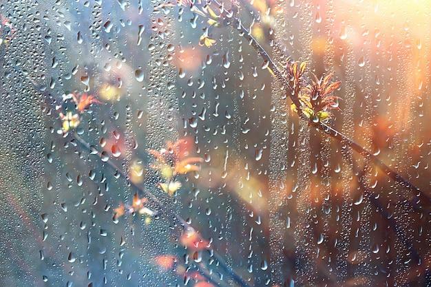 What are the good and bad effects of rain? 