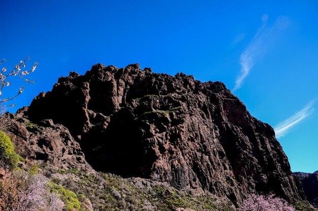 What cities are in the mountains and basins region of Texas? 