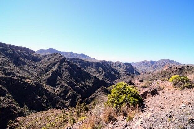 What cities are in the mountains and basins region of Texas? 