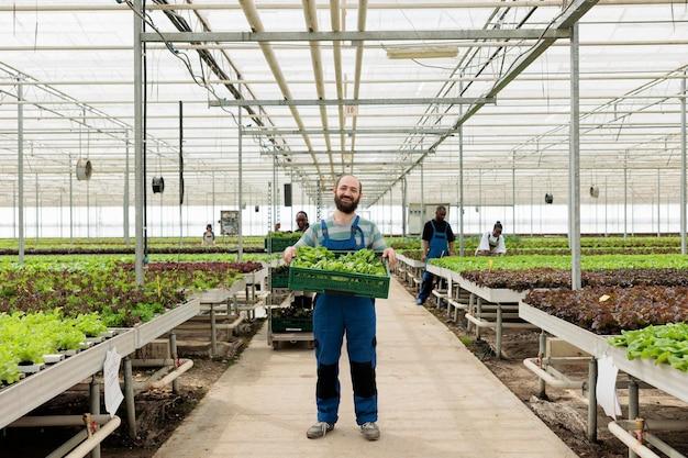 What are the difference between traditional farming and modern farming? 