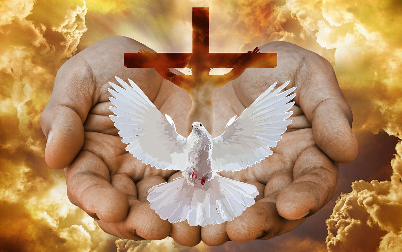 What is the difference between Triune and Trinity? 