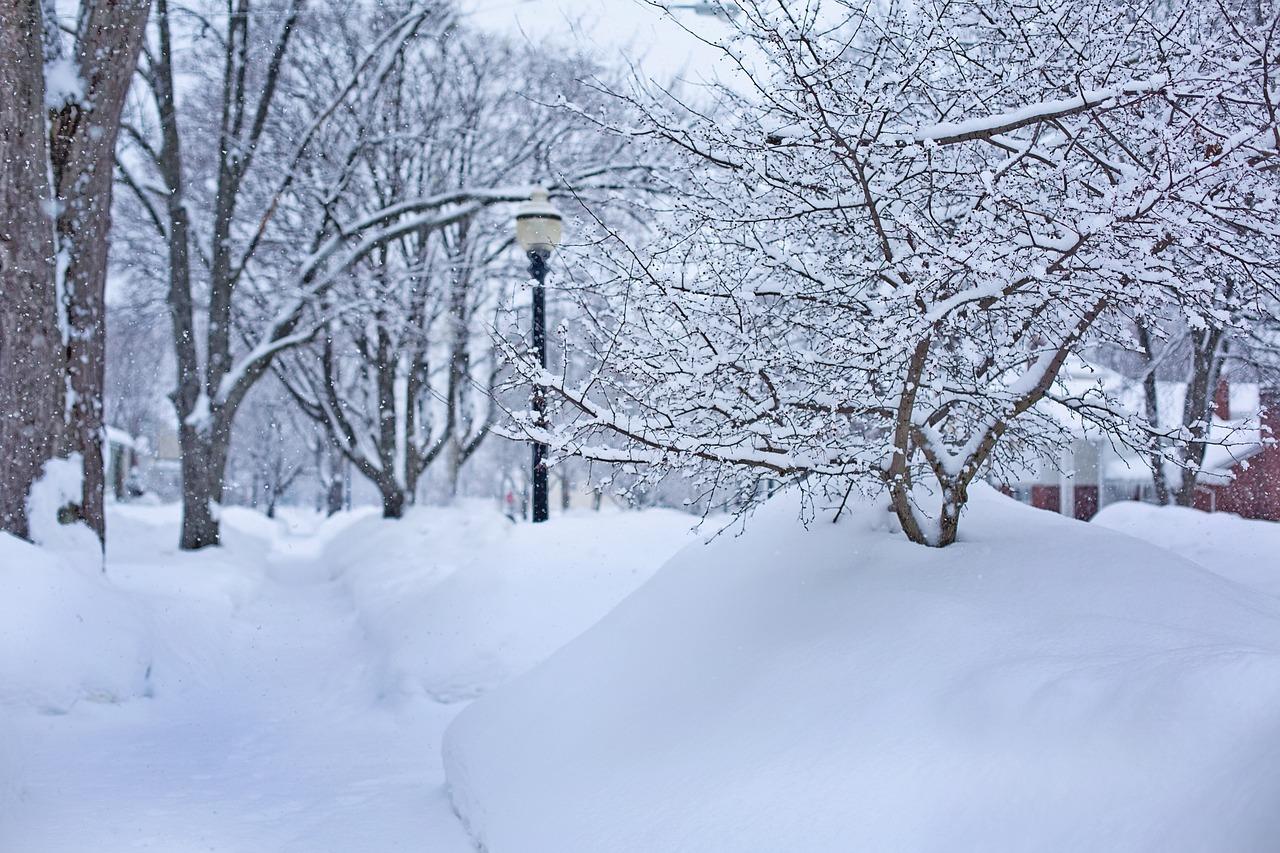 What year did it snow in June in Michigan? 