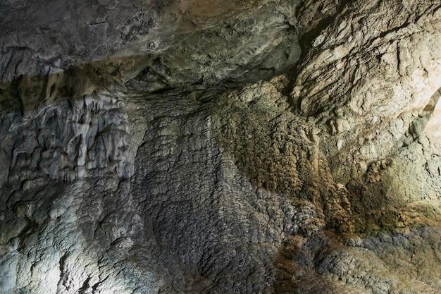 How do archaeologists look for evidence of early humans? 