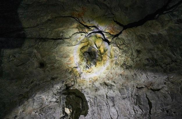 How do archaeologists look for evidence of early humans? 