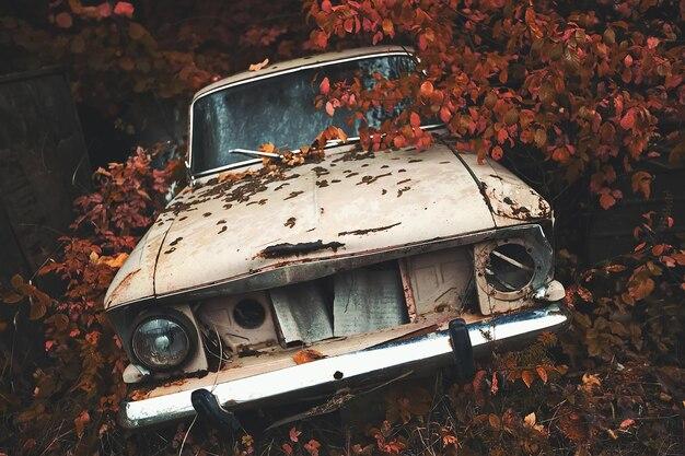 Was Vegas rat rods Cancelled? 