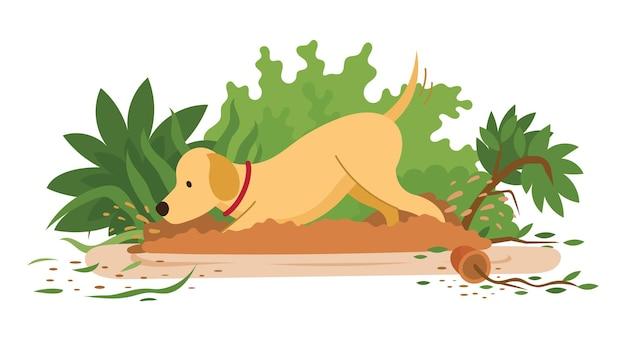 What animal buries their poop? 