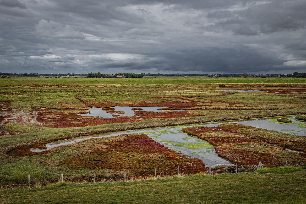 What are polders used for in the Netherlands? 