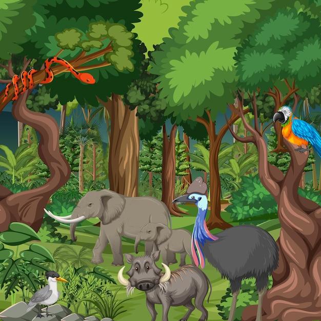 What are some herbivores in the tropical rainforest? 