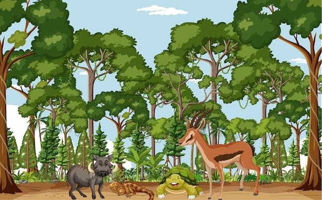 What are some herbivores in the tropical rainforest? 