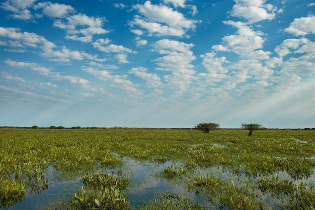 What are the bodies of water in the West Region? 