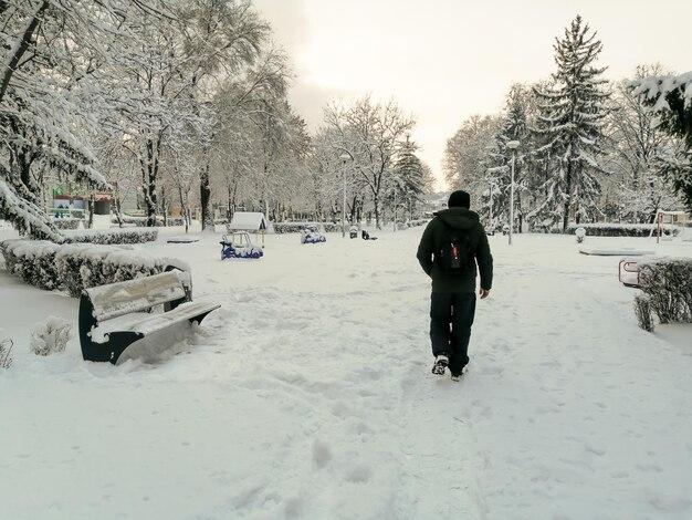 What are the main effects of blizzards? 