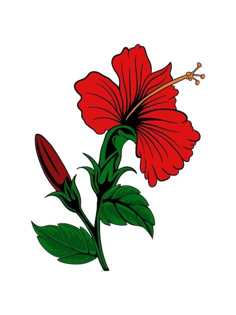 What are the parts of Gumamela flower? 