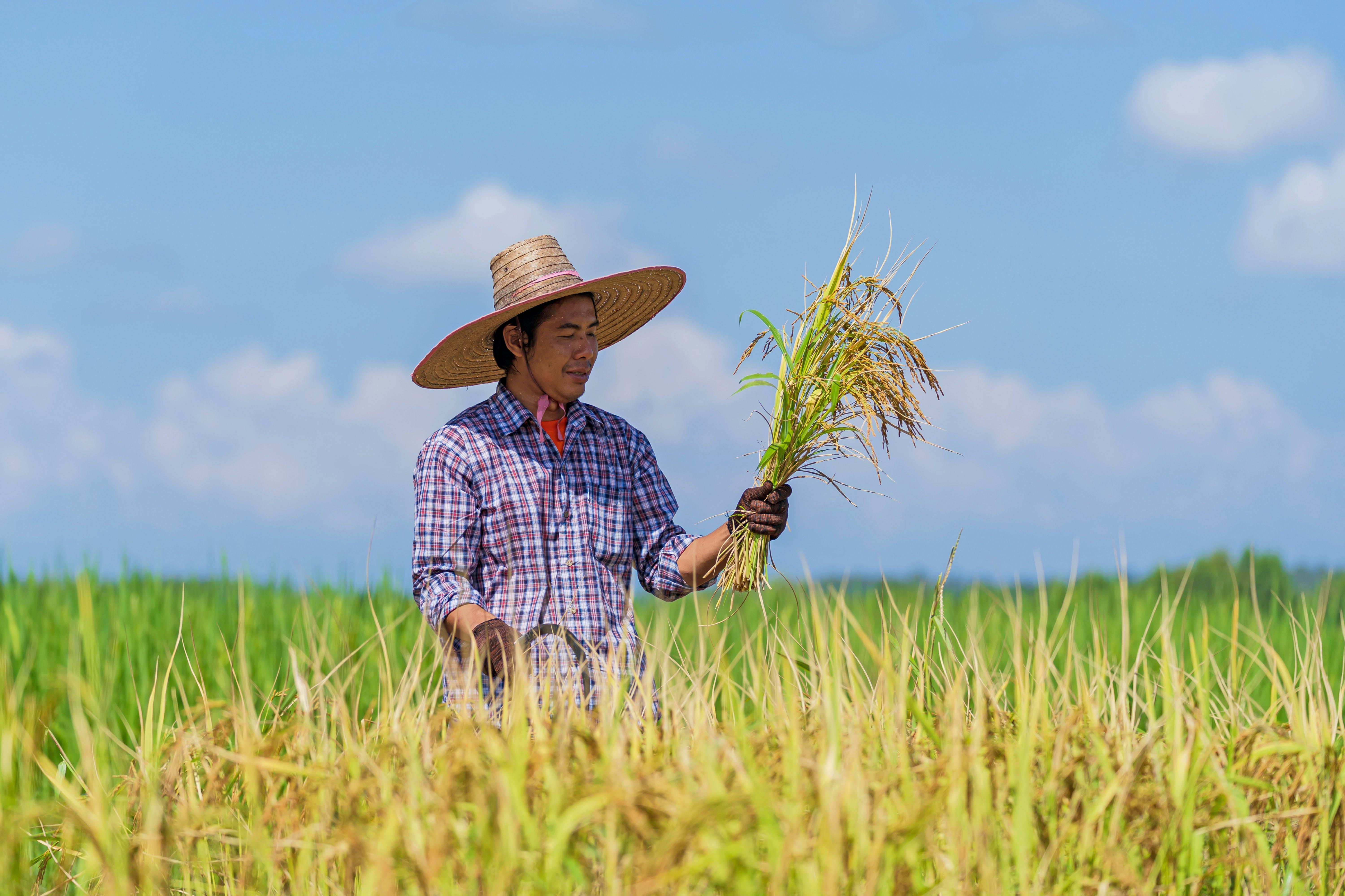 What are the positive effects of farming? 