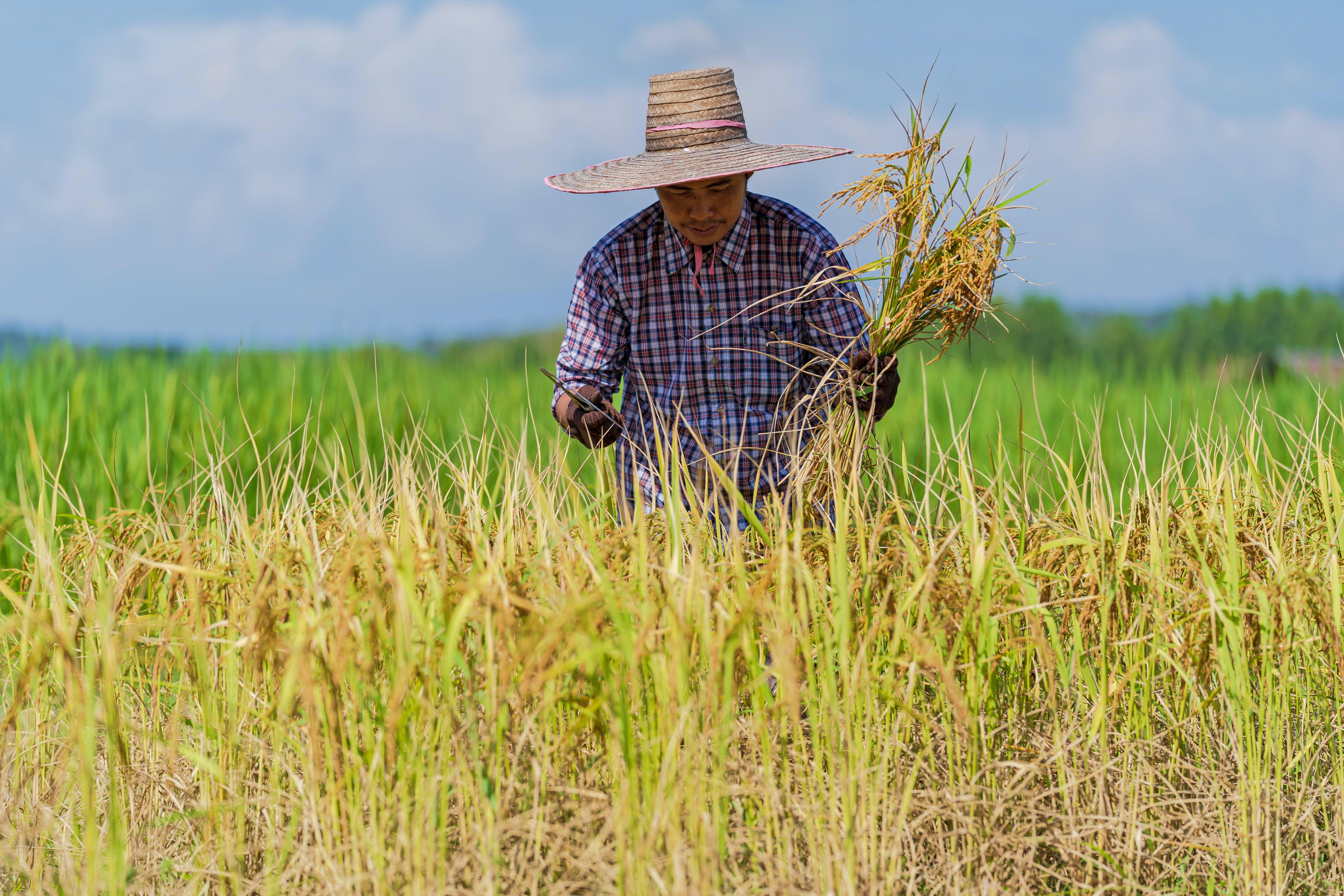 What are the positive effects of farming? 