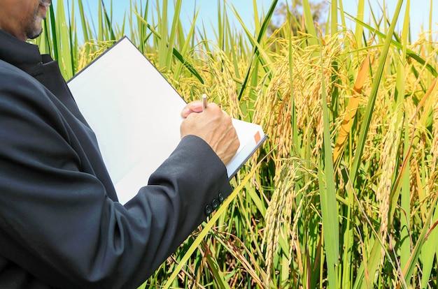 What are the 4 reasons for farmers economic problems? 