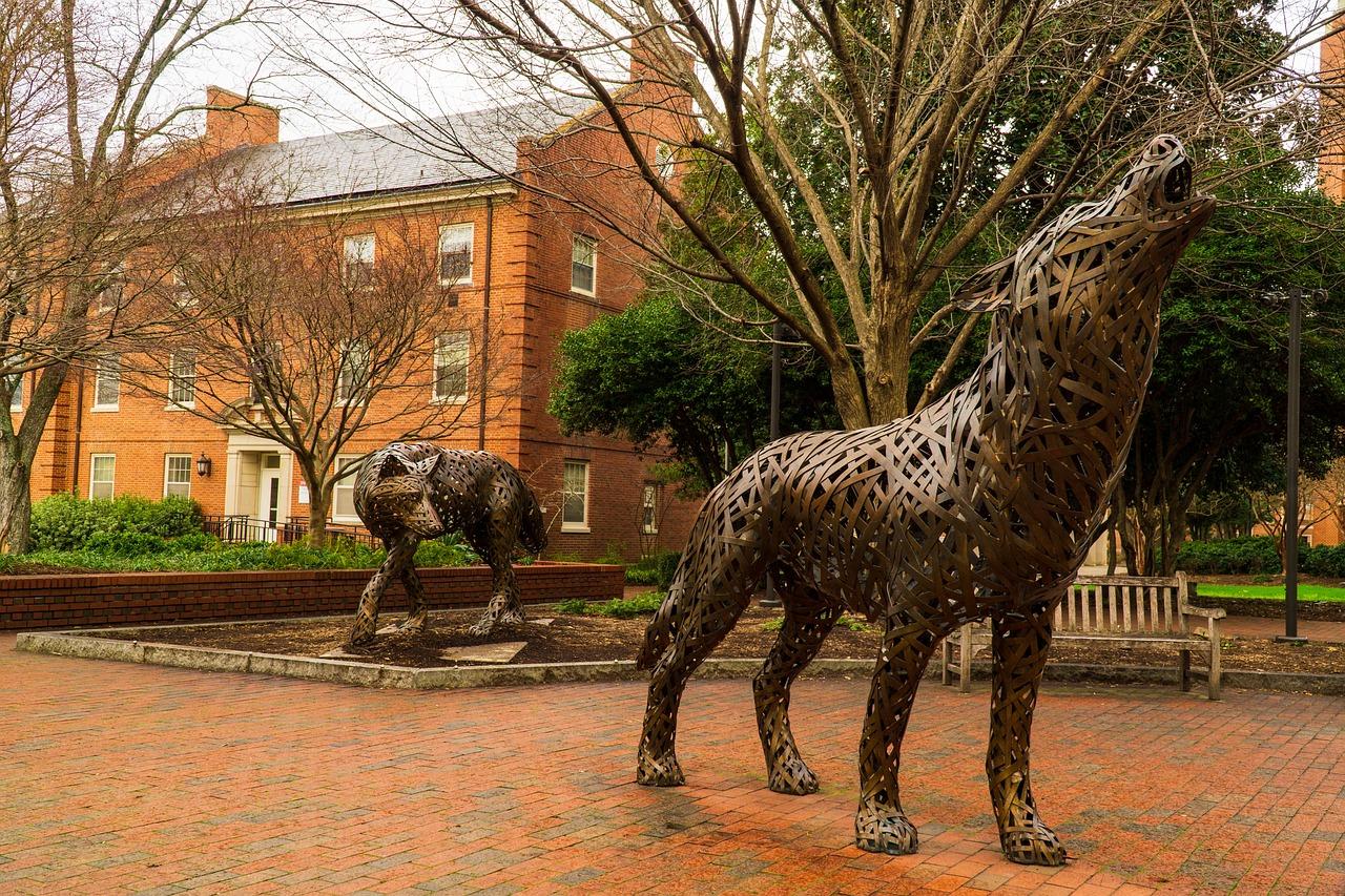 What are the requirements to get into NC State? 