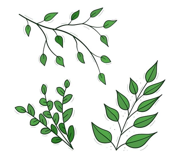 What are the three branches of ethics? 