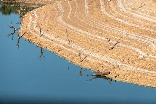 What controls how much sediment a river can carry? 