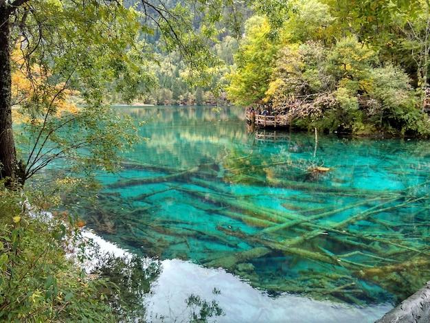 What five rivers flow through France? 