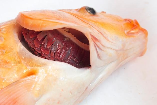 What happens if you eat gills? 