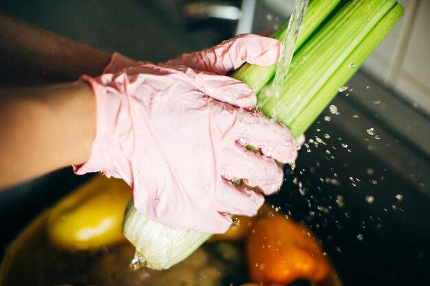 What happens when you put celery in salt water? 