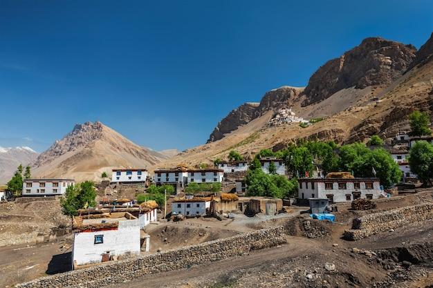 What is a biswa in Himachal Pradesh? 