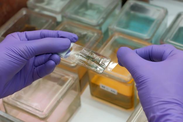What is a coverslip used for in science? 