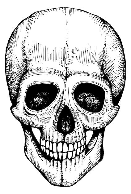 What is a deadhead log? 