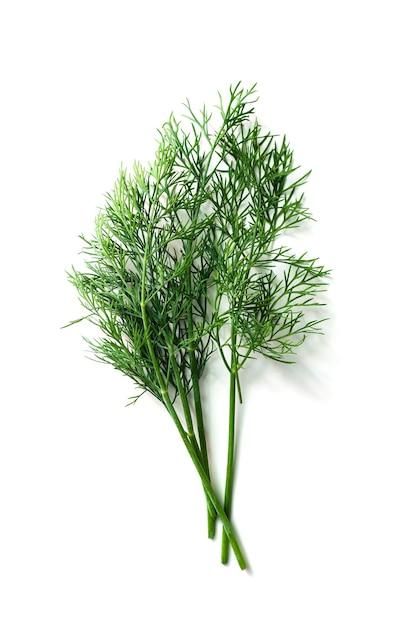 What is a dill sprig? 