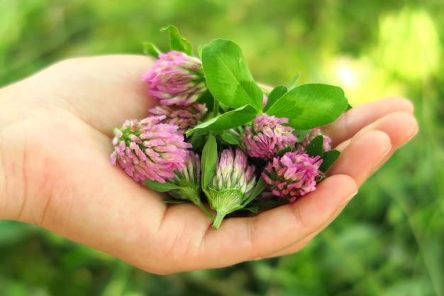 What is a handful of flower called? 