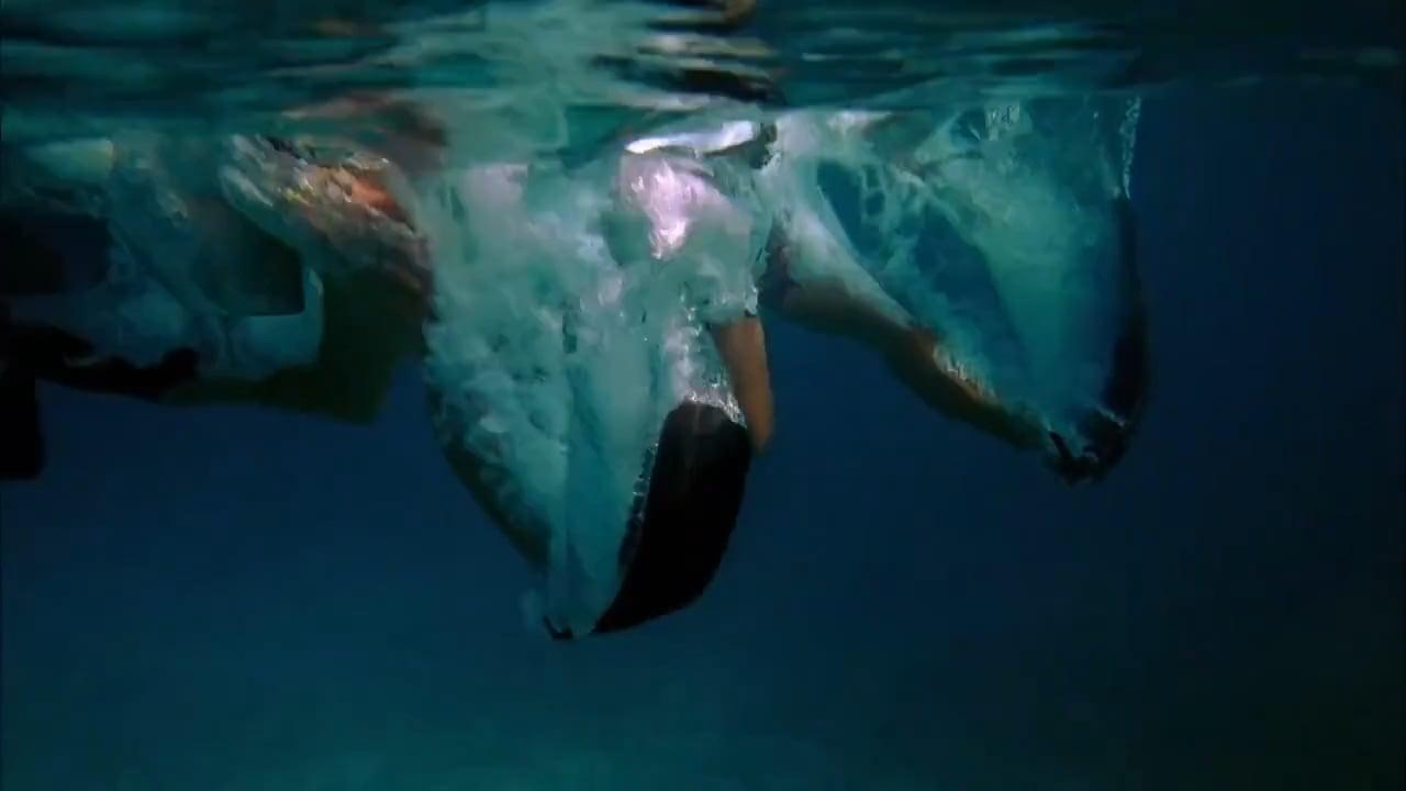What is an example of competition in the ocean? 