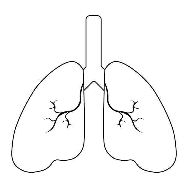What is ECW in healthcare? 