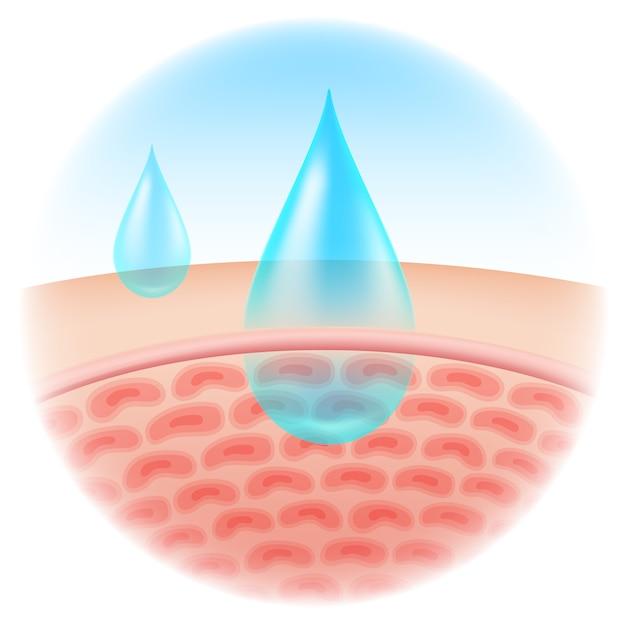 What is the free moisture content? 